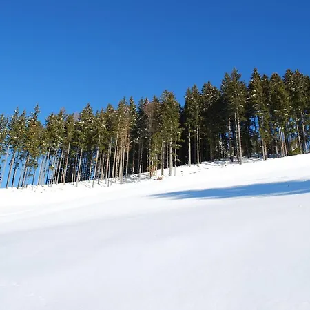 Сasa de vacaciones & Mislinja