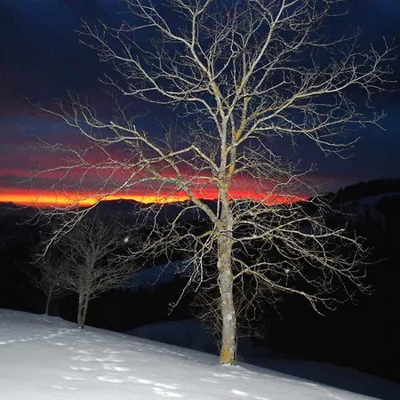 Сasa de vacaciones & Mislinja