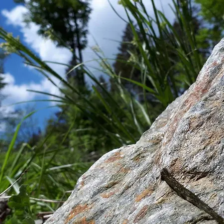 Сasa de vacaciones & *