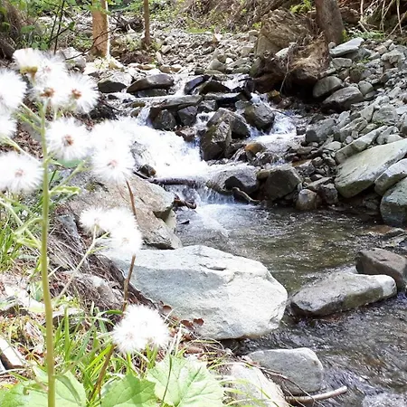 & Сasa de vacaciones *