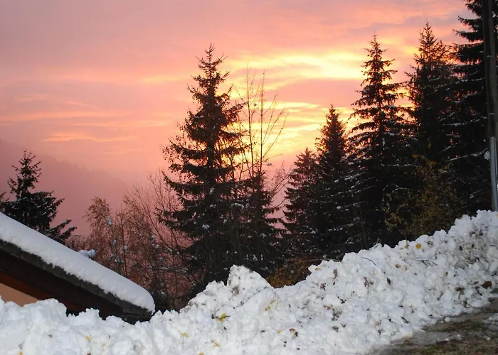 Prázdninový dům & *