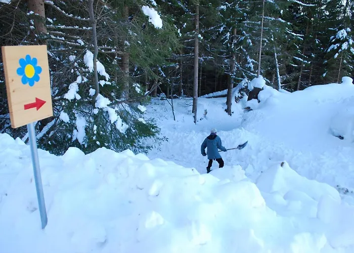 Prázdninový dům &