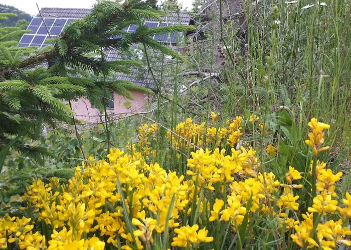 & Prázdninový dům