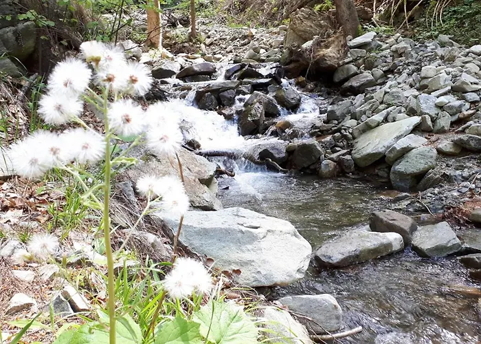 & Prázdninový dům *